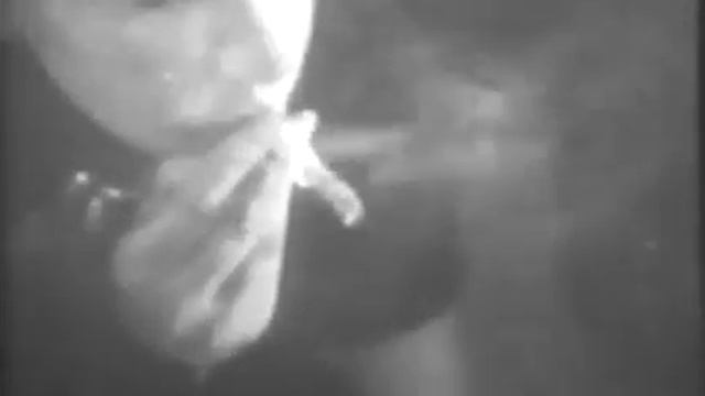 На прицеле ваш мозг 1984 СССР Киевнаучфильм смотреть онлайн