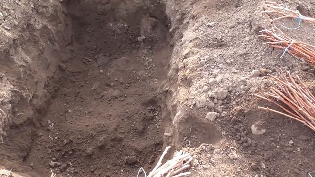 Виноградная лоза смотреть онлайн