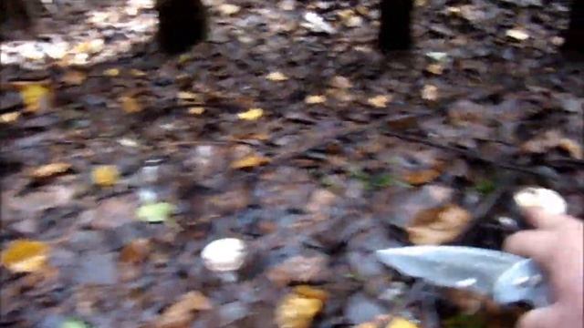 Грузди в ельнике.Что за гриб?Как по чистить грузди/Сельское подворье на Урале смотреть онлайн