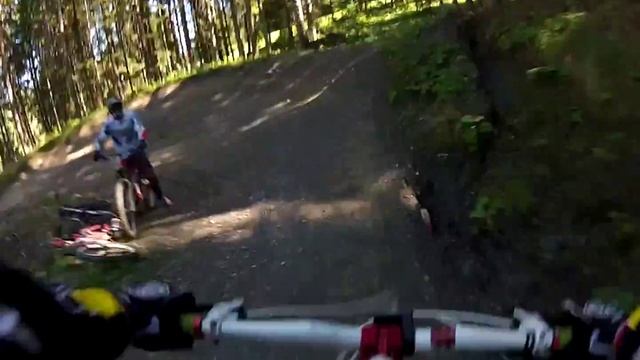 wagraining смотреть онлайн