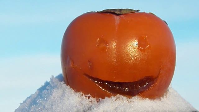 С ДНЁМ РОЖДЕНЬЯ ВАСИЛИСА  от Хурмы
