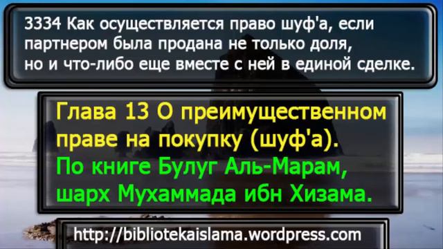 3334 Как осуществляется право шуф'а, если партнером была продана не только доля, но и что либо еще смотреть онлайн