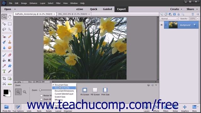 Photoshop Elements 15 Tutorial Viewing Document Information Adobe Training смотреть онлайн