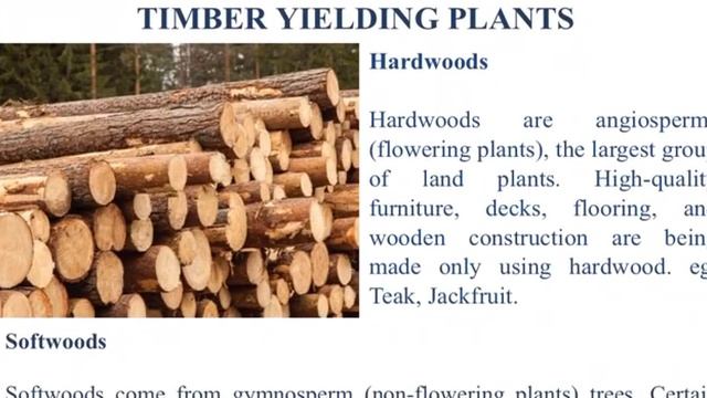 6th New Book Science Plants in Daily life- Full Lesson Easy Explanation With Notes смотреть онлайн