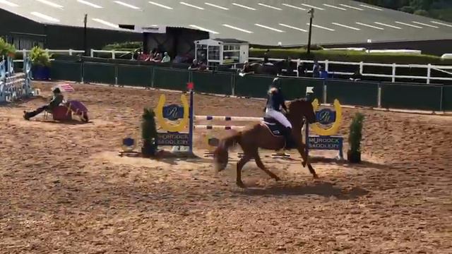 CS Money Talks (x Clover Flush)148 1.15m Championship Cavan Home Pony International August 2020 смотреть онлайн