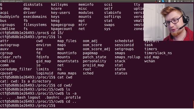 MITRE CTF 2019 - Linux [150] Understanding Processes with /proc смотреть онлайн