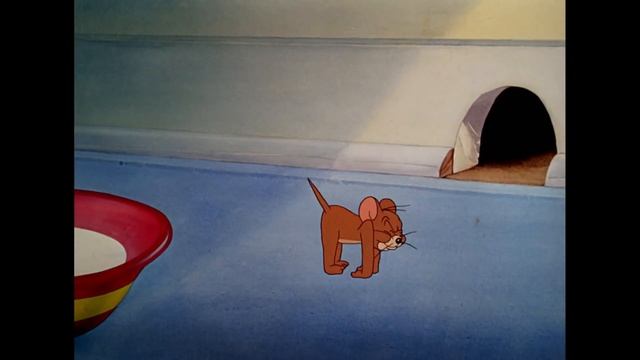 Tom Y Jerry En Español | Todas Las Travesuras | WB Kids