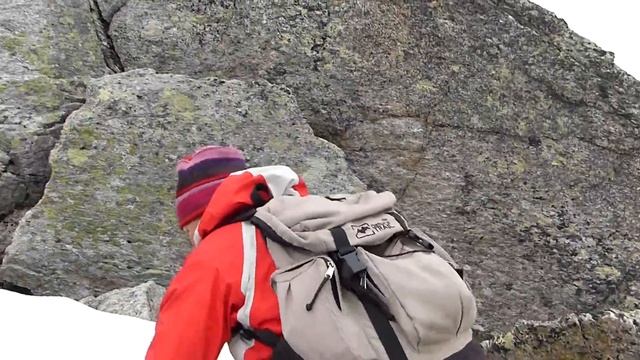 Росомаха в горах. Альпы, КотоМышь смотреть онлайн