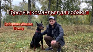 Простые команды добермана
