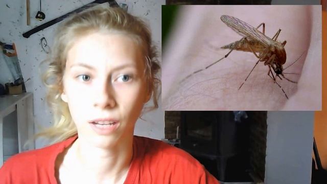 В одежде этого цвета людей не кусают комары смотреть онлайн