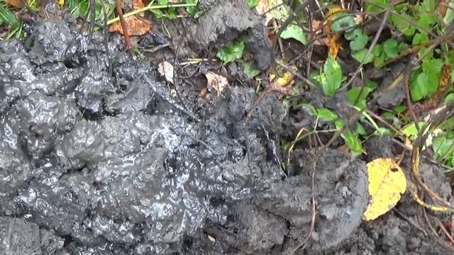 Нашёл нефть!!!! смотреть онлайн