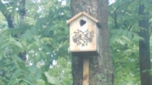 Скворечники и кормушка для птиц с декупажем в городском парке город Артем Приморский край 2016 смотреть онлайн