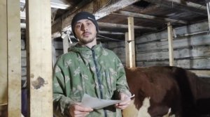 Для НОВИЧКОВ О КОРОВАХ //ПОСТРОЙКА и БЛАГОУСТРОЙСТВО КОРОВНИКА //ЧИСТЫЕ КОРОВЫ// ОБЗОР САРАЯ//