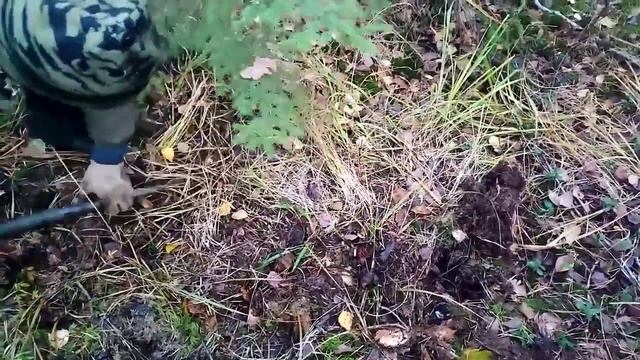 НАШЛИ ТОННЫ МЕТАЛЛОЛОМА В СУРОВОЙ ТАЙГЕ / МЕТАЛЛОИСКАТЕЛЬ В ДЕЛЕ / ВЫВОЗИМ ТРАКИ ИЗ ЛЕСА #металл смотреть онлайн
