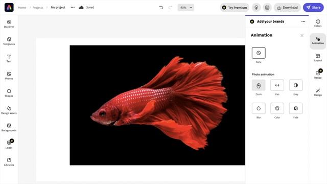 How To Add Animations To Images In Adobe Express | Adobe Express Tutorial смотреть онлайн
