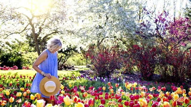 Идеальная жена. Существуют ли такие? смотреть онлайн