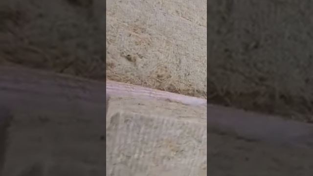 Качественное утепление кровли сверху пароком. смотреть онлайн