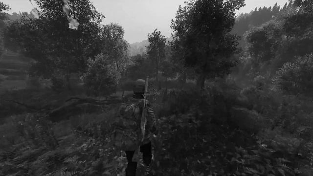 СТРИМЧАНСКИЙ|DayZ