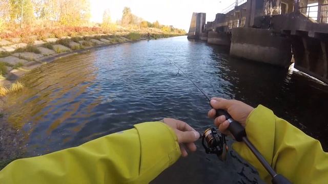 Мормышинг на спиннинг ОКУНЬ на БычкаХ КраткиЙ ОбзоР Ebisu // Violet 0,6-5g Mukai as 1632 смотреть онлайн