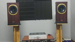 Tannoy 628 concentric speakers and cambridge audio azur 640a amplifier