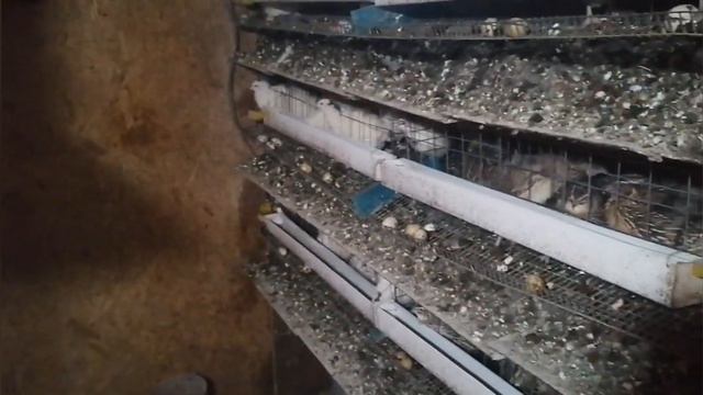 28 февраля 2024 г. мама приехала смотреть онлайн