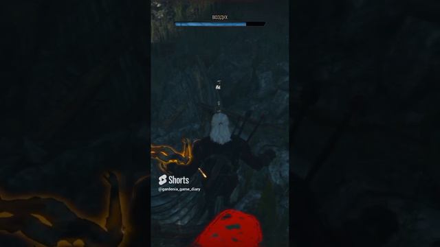 жемчуга побережья смотреть онлайн