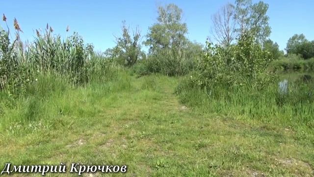 РЫБАЛКА в КАЙФ. Частные пруды у Фёдоровича станица Владимировская КУБАНЬ КЛАСС. Живите в Кайф! смотреть онлайн