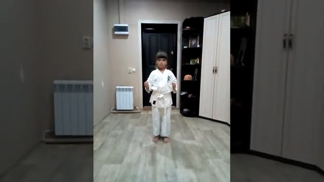 Удары на оранжевый пояс Кёкушин карате смотреть онлайн