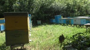 НАЧАЛСЯ ГЛАВНЫЙ ВЗЯТОК