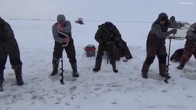 НЕ ОЖИДАЛ ТАКОГО ИСХОДА РЫБАЛКИ! ПРОБУРИЛ 5 ЛУНОК И...Рыбалка на Чанах Фестиваль "Сибирский Рыболов смотреть онлайн