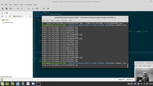 Downloading images from the web | Python + Requests & BeautifulSoup смотреть онлайн