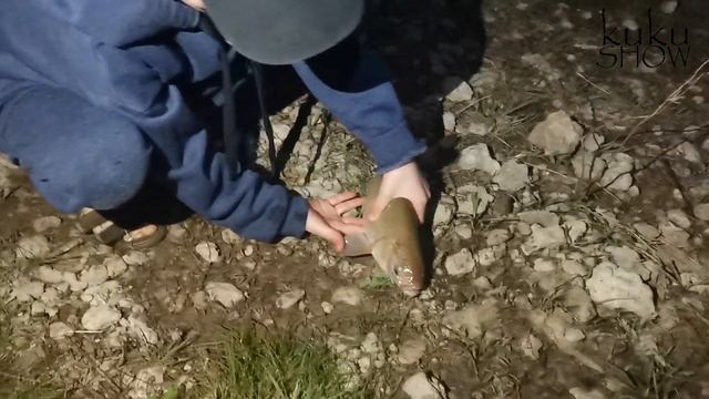 Рыбалка на Иртыше. Хороший улов весной 2021. Открытие фидерного сезона!!! смотреть онлайн