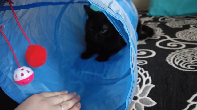 Новая игрушка смотреть онлайн