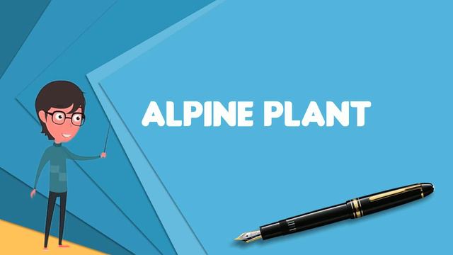 What is Alpine plant? Explain Alpine plant, Define Alpine plant, Meaning of Alpine plant смотреть онлайн