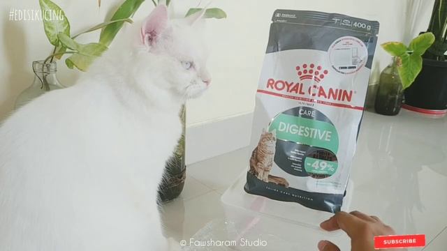 REVIEW ROYAL CANIN DIGESTIVE CARE UNTUK KUCING MENCRET DAN MUNTAH HAIRBALL | EdisiKucing 083 смотреть онлайн