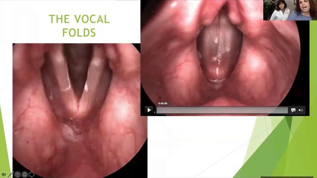 Virtual CF Summer Retreat 2020: "What the Snot?!" - Mucous and Vocal Health смотреть онлайн