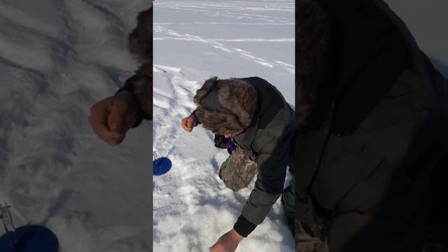 Иртыш классный день смотреть онлайн
