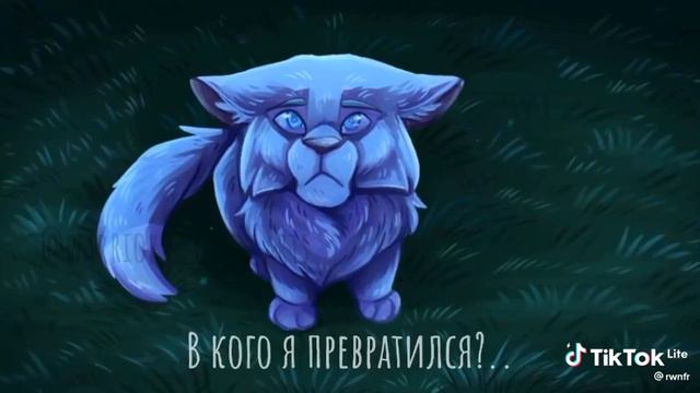 мне так жаль чистое небо.. #солнечныйпуть #котывоители #чистоенебо #сероекрыло смотреть онлайн