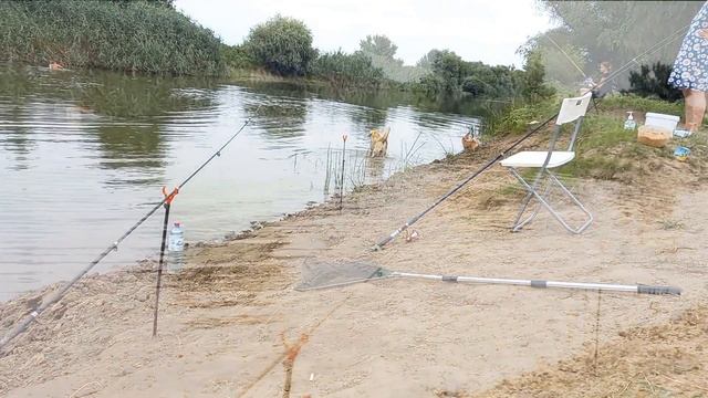 Кемпинг в Астраханской области. Рыбалка и сушилка для рыбы смотреть онлайн