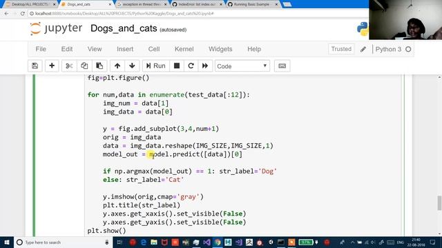 Building and AI model to classify between Dogs and cats: Part 2 (OUTPUT) смотреть онлайн