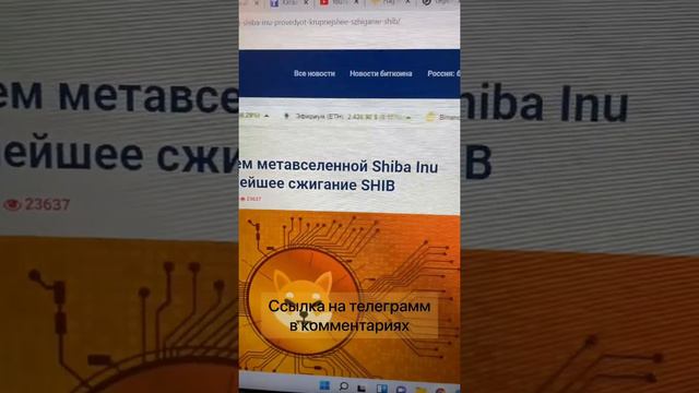 #shibainu #shiba #криптовалюта #nft #crypto #крипта #биткоин #заработок смотреть онлайн