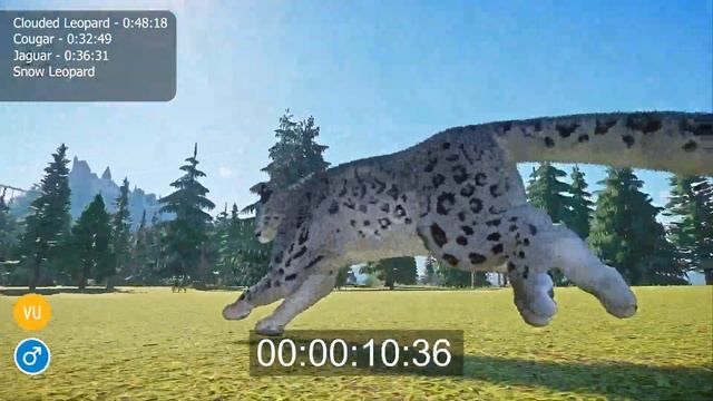Big Cats Category Speed Races in Planet Zoo included Clouded Leopard, Cougar, Jaguar, Amur Leopard смотреть онлайн