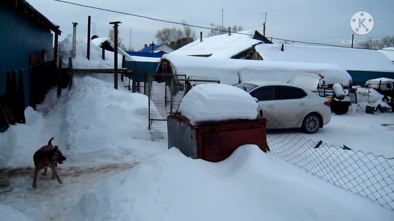 ПРИЕХАЛ В КОЛХОЗ. ЧЕРНЫЕ КРОЛИКИ. смотреть онлайн