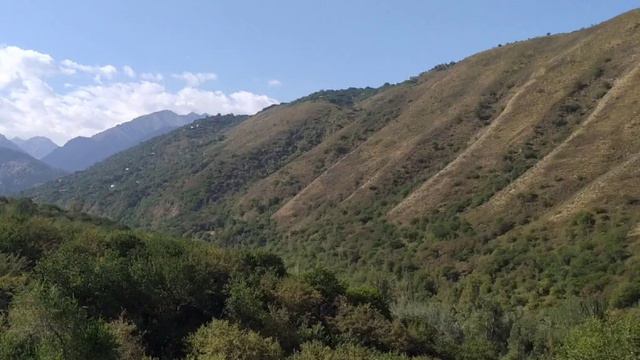 Алма-Ата(стихи Елены Тикуновой,музыка Натальи Булгаковой) #music #стихи #авторскаяпесня #посвящение смотреть онлайн