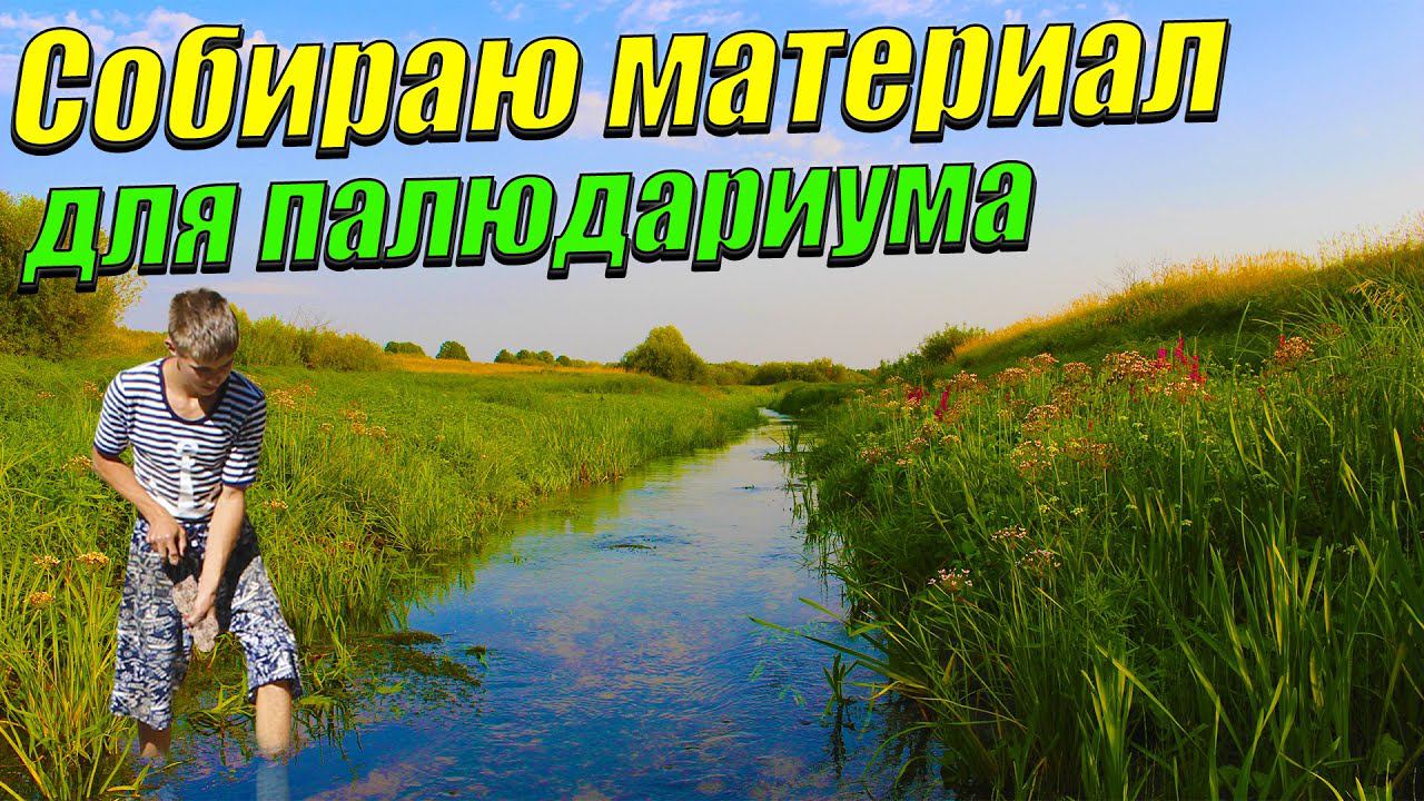 Собираю камни, коряги и растения для палюдариума с речными рыбками. смотреть онлайн