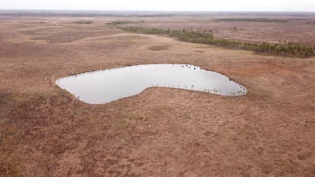 Озеро Ботники, Вязниковский район, Владимирская область, Россия