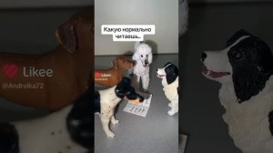 Типо собаки, Сново видео не моё