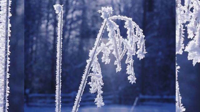 ОШО Перестань пытаться быть хорошим смотреть онлайн