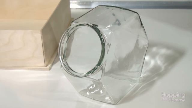 Planning the DIY Cage Decor & Design (Early Stages) смотреть онлайн