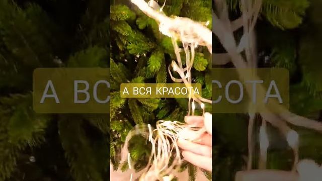 ГОТОВИМСЯ К НОВОМУ ГОДУ ? смотреть онлайн